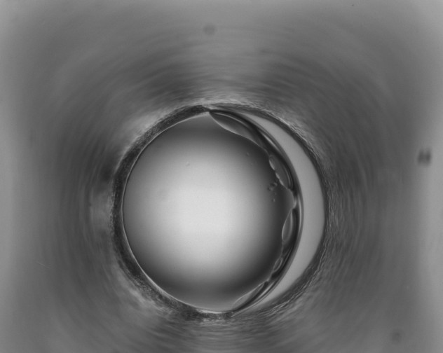 X0000090720440200707271156