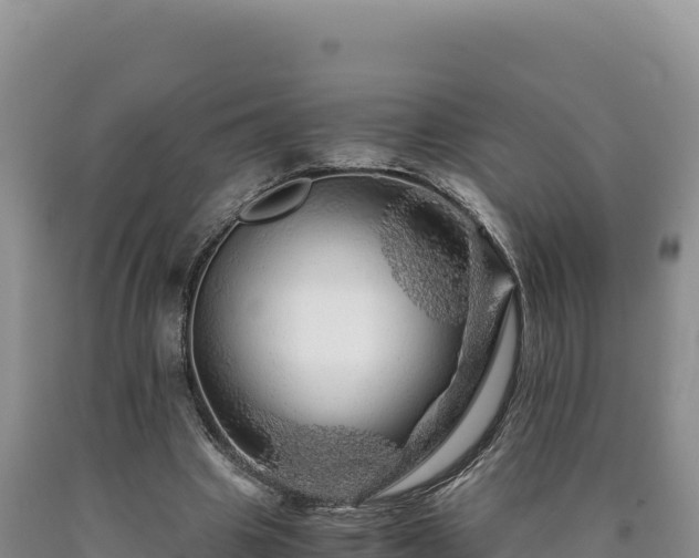X0000090720441200707271156