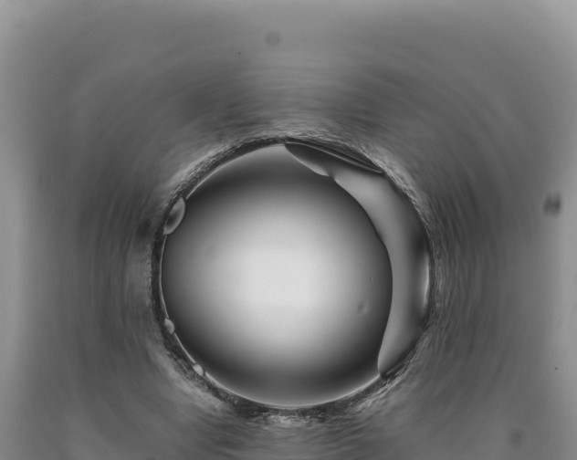 X0000090720442200707271156
