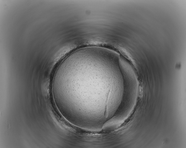 X0000090720443200707271156