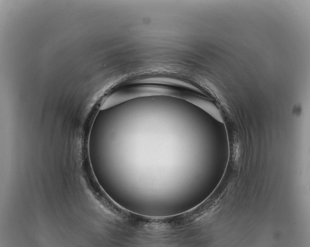 X0000090720444200707271156
