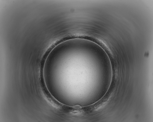X0000090720447200707271156