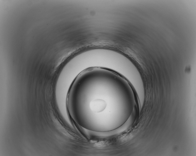X0000090720448200707271156