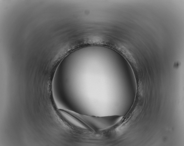 X0000090720449200707271156