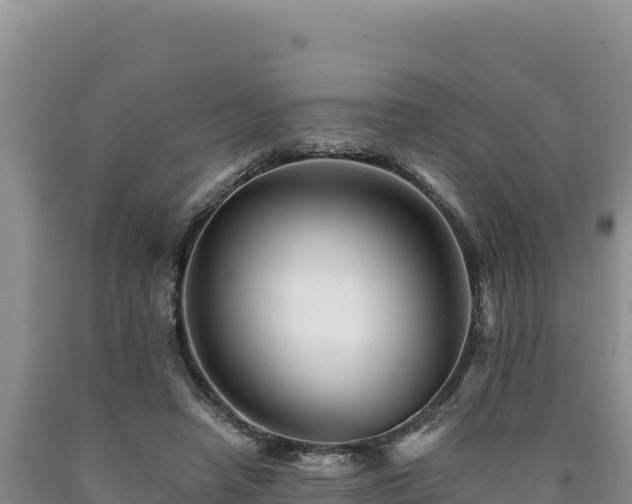 X0000090720450200707271156