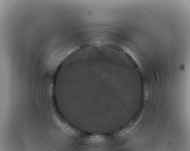 X0000090720451200707271156