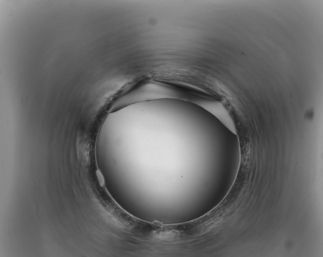 X0000090720452200707271156