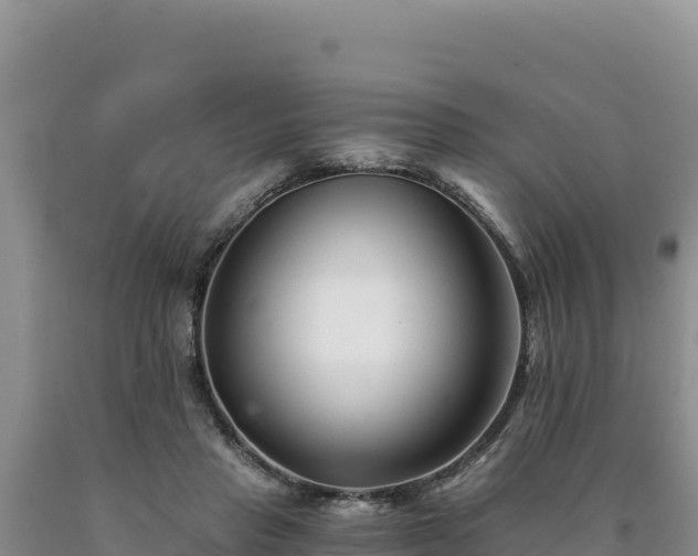 X0000090720453200707271156