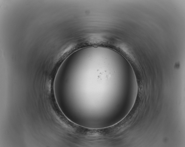 X0000090720454200707271156