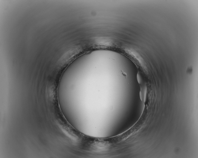 X0000090720455200707271156
