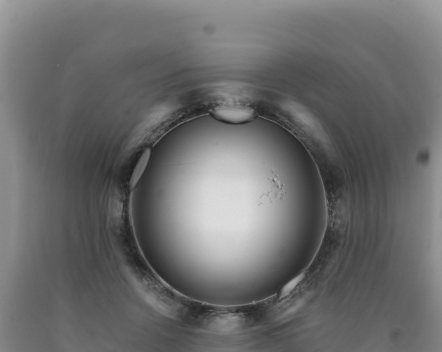 X0000090720456200707271156
