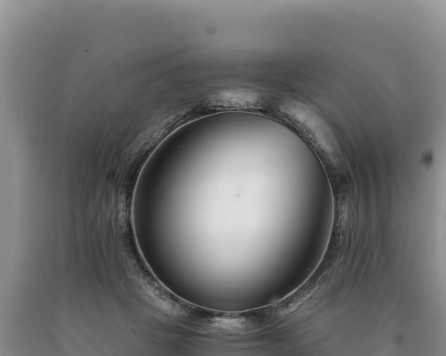 X0000090720457200707271156