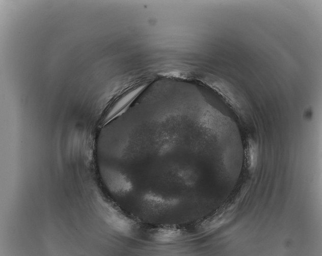 X0000090720458200707271156