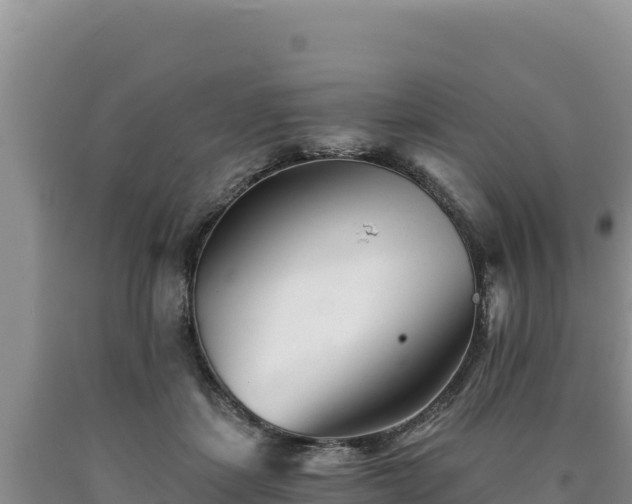 X0000090720459200707271156