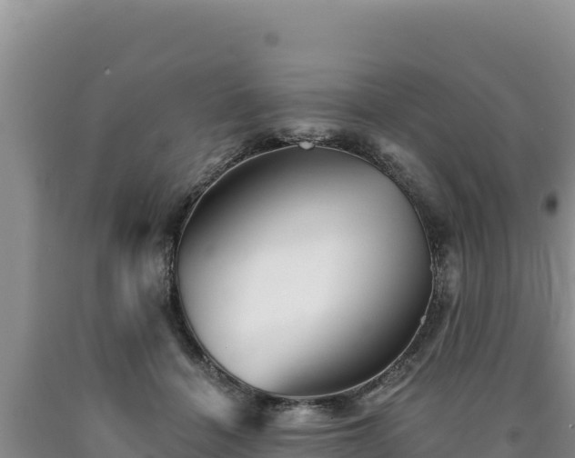 X0000090720460200707271156
