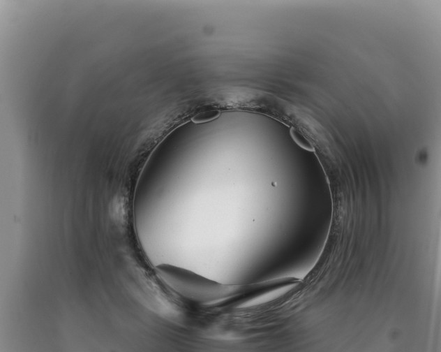 X0000090720461200707271156