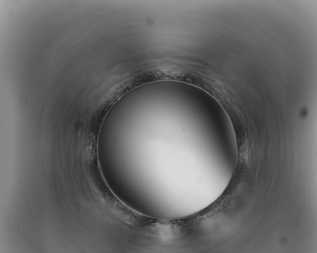 X0000090720464200707271156