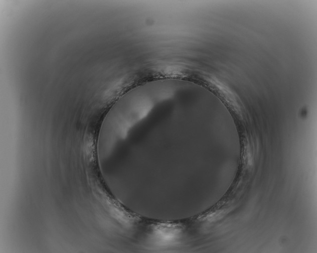 X0000090720465200707271156