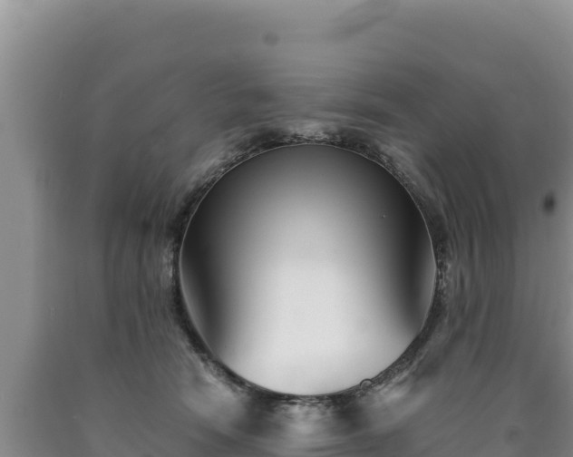 X0000090720466200707271156