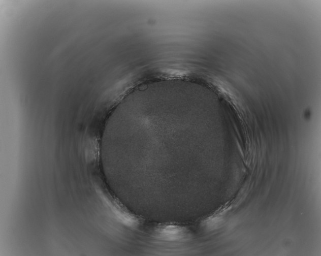 X0000090720467200707271156