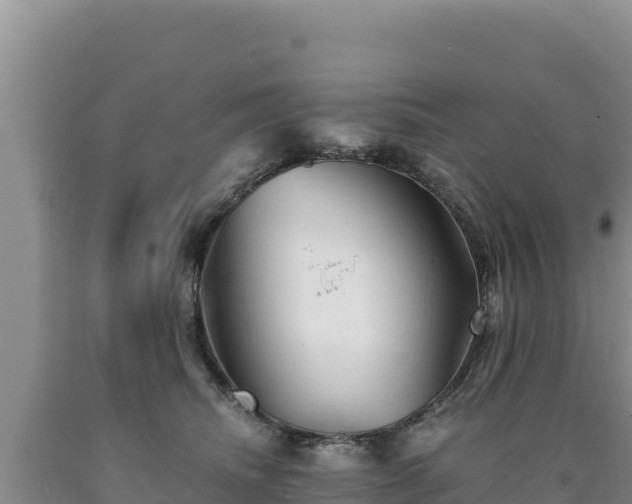 X0000090720468200707271156