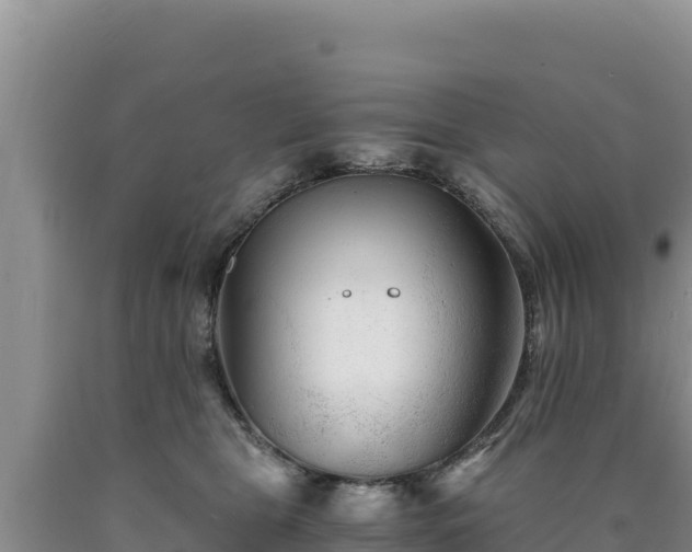 X0000090720469200707271156
