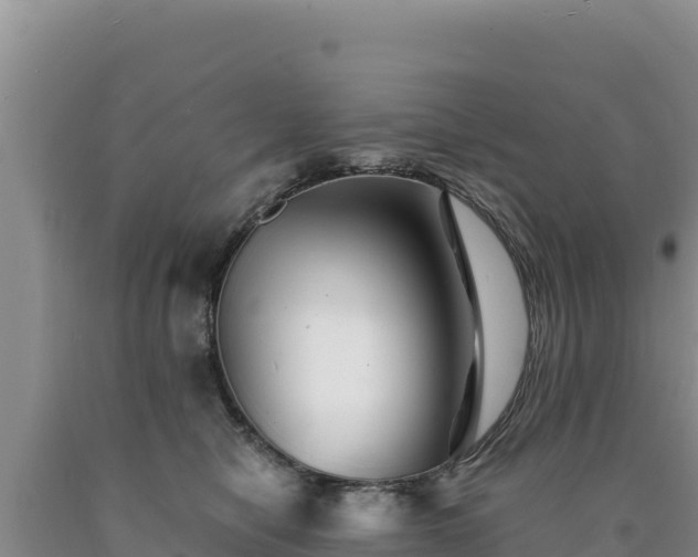 X0000090720470200707271156