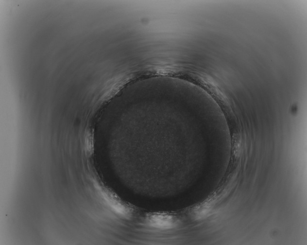 X0000090720471200707271156