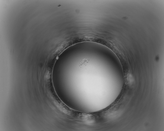 X0000090720472200707271156