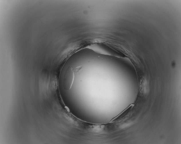 X0000090720474200707271156