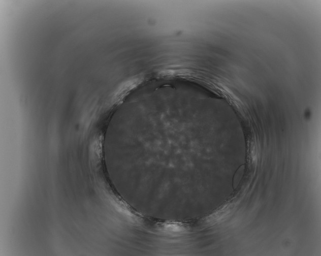 X0000090720475200707271156