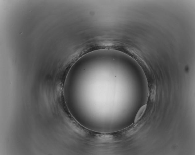 X0000090720476200707271156