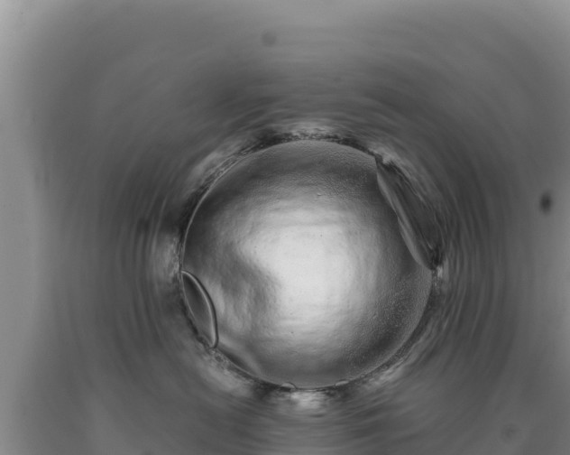 X0000090720478200707271156