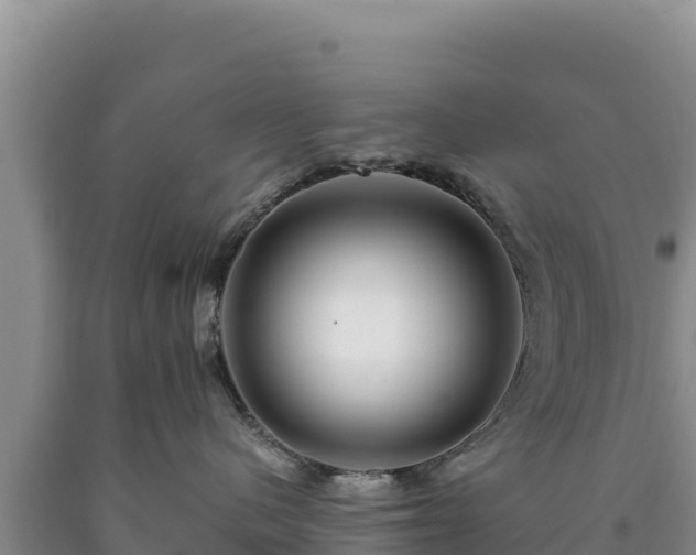 X0000090720480200707271156