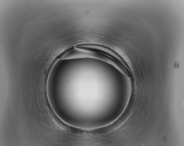 X0000090720481200707271156