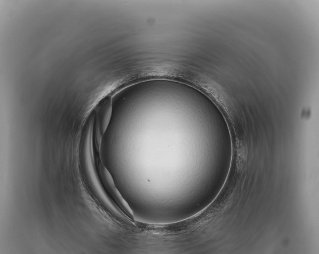 X0000090720482200707271156