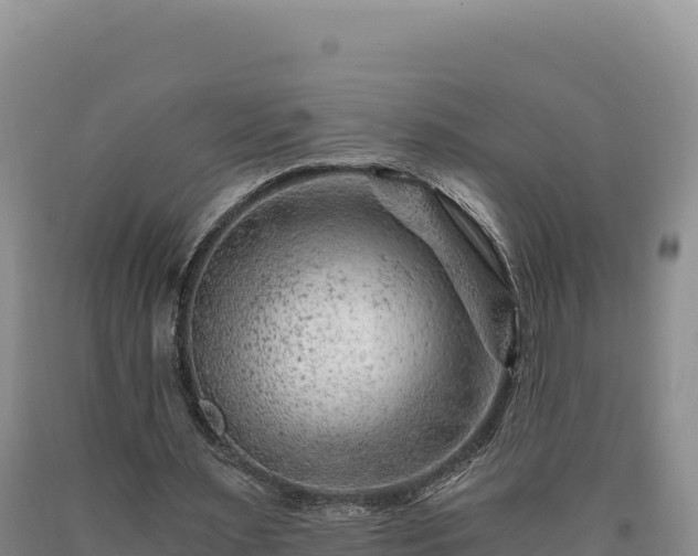 X0000090720483200707271156