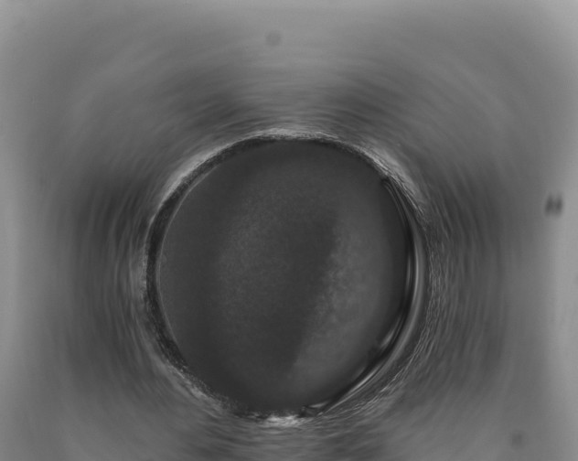 X0000090720484200707271156