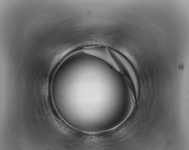 X0000090720486200707271156
