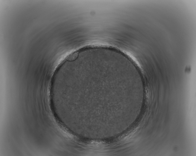 X0000090720487200707271156