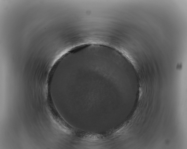 X0000090720488200707271156