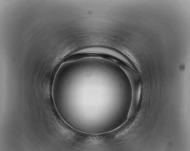 X0000090720489200707271156