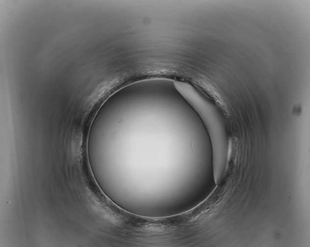 X0000090720490200707271156