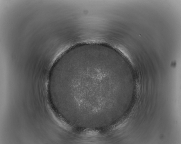 X0000090720491200707271156