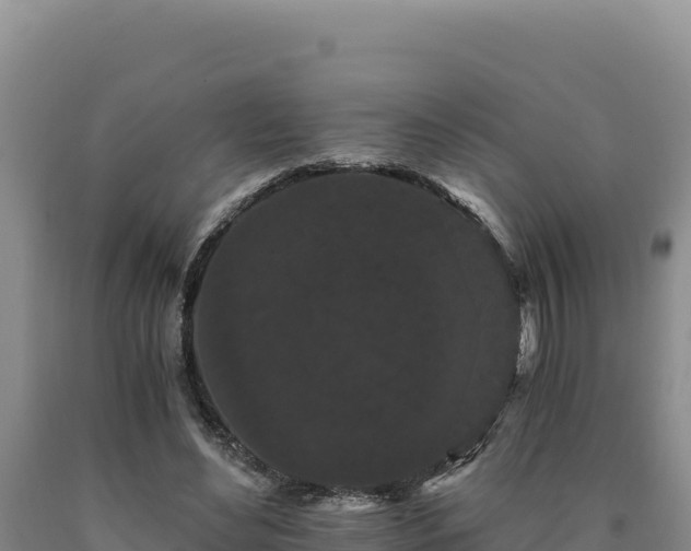 X0000090720492200707271156