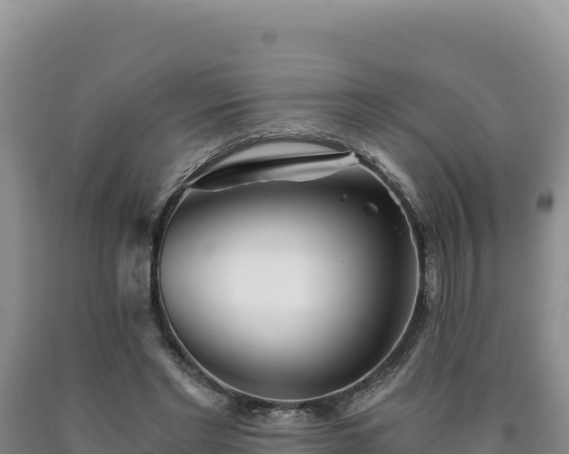 X0000090720493200707271156