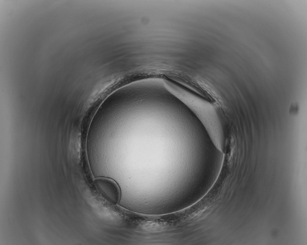 X0000090720494200707271156