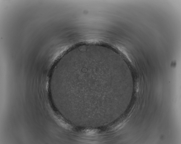 X0000090720495200707271156