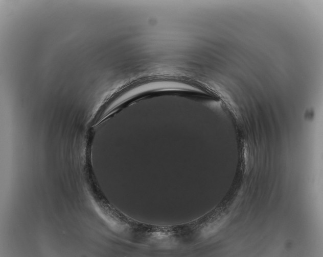 X0000090720496200707271156