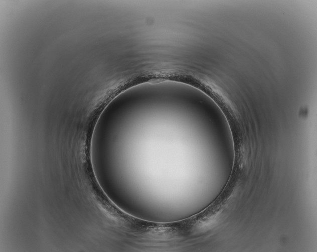 X0000090720497200707271156